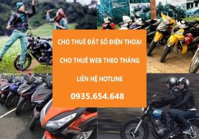 cho-thue-xe-may-duong-su-van-hanh-q11