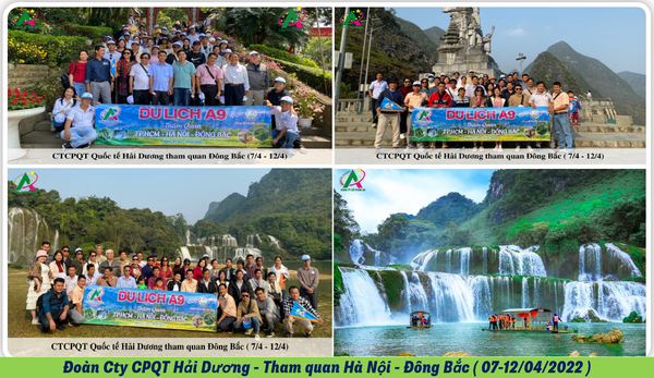 Công ty du lịch A9