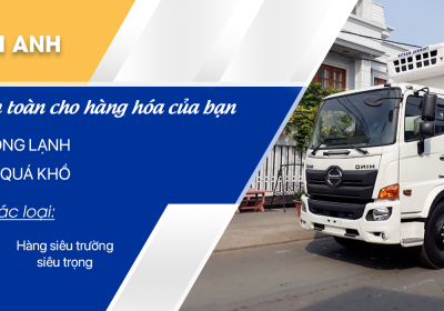 cong-ty-tnhh-mot-thanh-vien-thuong-mai-van-tai-quynh-anh